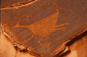 Petroglyph by Nelson