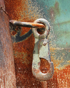 Rusty Clip by Wendy Cohen