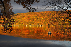 Fall on the Finger Lakes by Dan Nolan