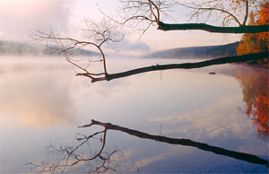 Limbs over Hemlock Lake by Gary Thompson