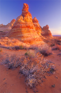 Teepees at South Coyote Buttes by Gary Thompson