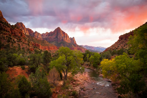 The Watchman by Dave Burnet