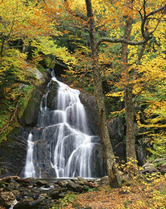 Autumn at Moss Glen Falls by Gary Thompson