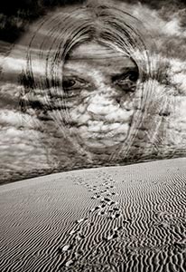 Desert Doom by Steve Levinson