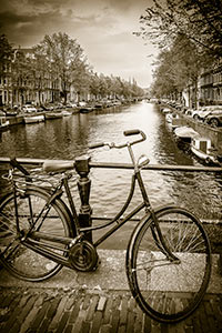 Old Faithful Amsterdam by Tom McGlynn