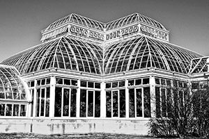 Greenhouse Study at NYBG by Kathy Wahl