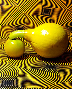Yellow Fruit on Yellow Fruit by Susan Plunkett