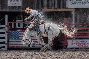 White Horse Bronc Rider by Tom Kredo