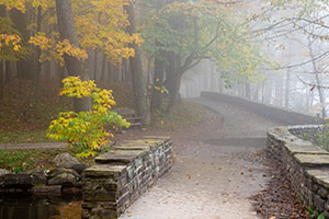 Autumn Fog by Christy Hibsch