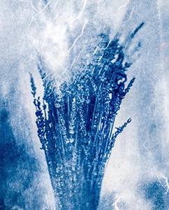 Lavendar-Blues-Electrocuted-Cyanotype by Kay Nowicki