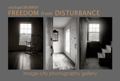 Freedom from Disturbance by Michael Murray