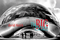 The Big Picure by David Bleich