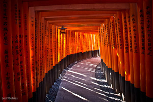 Fushimi Inari Shrine by Josh Bulriss