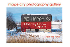 Holiday Show 2017 Card