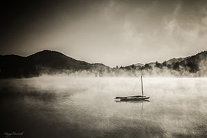 Morning Fog by Maggie Hamell