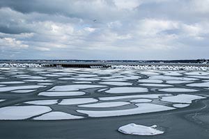 Genesee River Ice by Martha Price