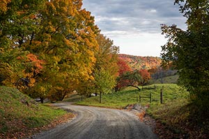 Fall Afternoon in Vermont by Patty Singer