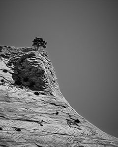 Living on the Edge by Brian Tomcik