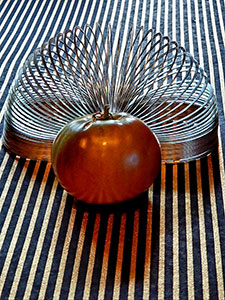 Slinky with Tomato by Susan Plunkett