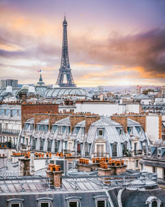Paris Rooftops by James Christopher Knight