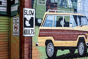 Slow Adults by Don Menges