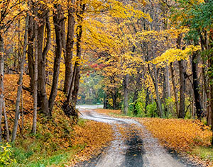 County Road by Jerry Iuppa