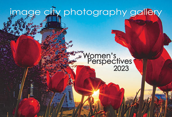 Women's Perspectives 2023 Showcard