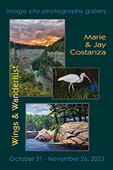 Wings and Wanderlust by Marie and Jay Costanza