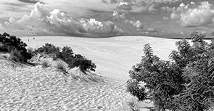 Dunes at Jockey Ridge by Renee Strassell-Mills