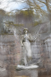 Angel of Hope by Robin Hamm