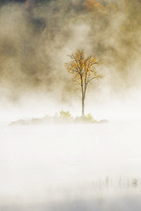 The Lonely Sentinel by Patty Singer