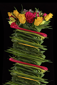 Vincent-Bouquet-1-Twist-in-Time