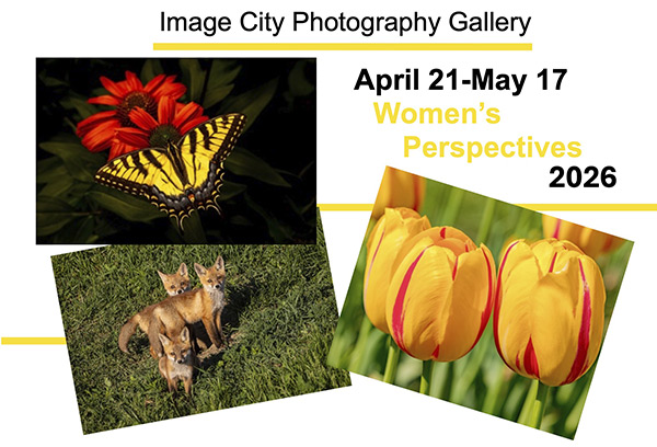 Women's Perspectives 2026