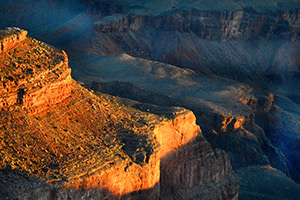 A Shimmer of Light by d dargan teska