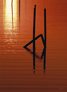 Rippled Shadows #9 by Sheridan Vincent