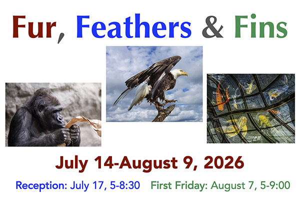 Fur, Feather and Fins Card
