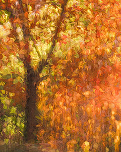 Whispers of Autumn by Laurie Knapp