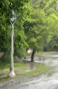 Rainy Afternoon by Luann Pero