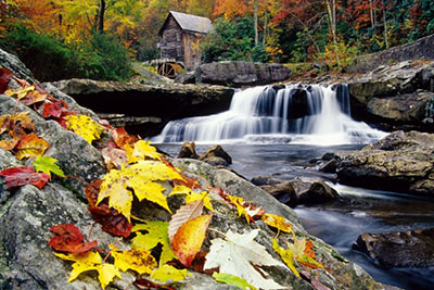 Autumn Leaves at Glade Creek Mill by Gary Thompson