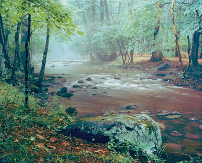 Adams Creek by Gary Thompson